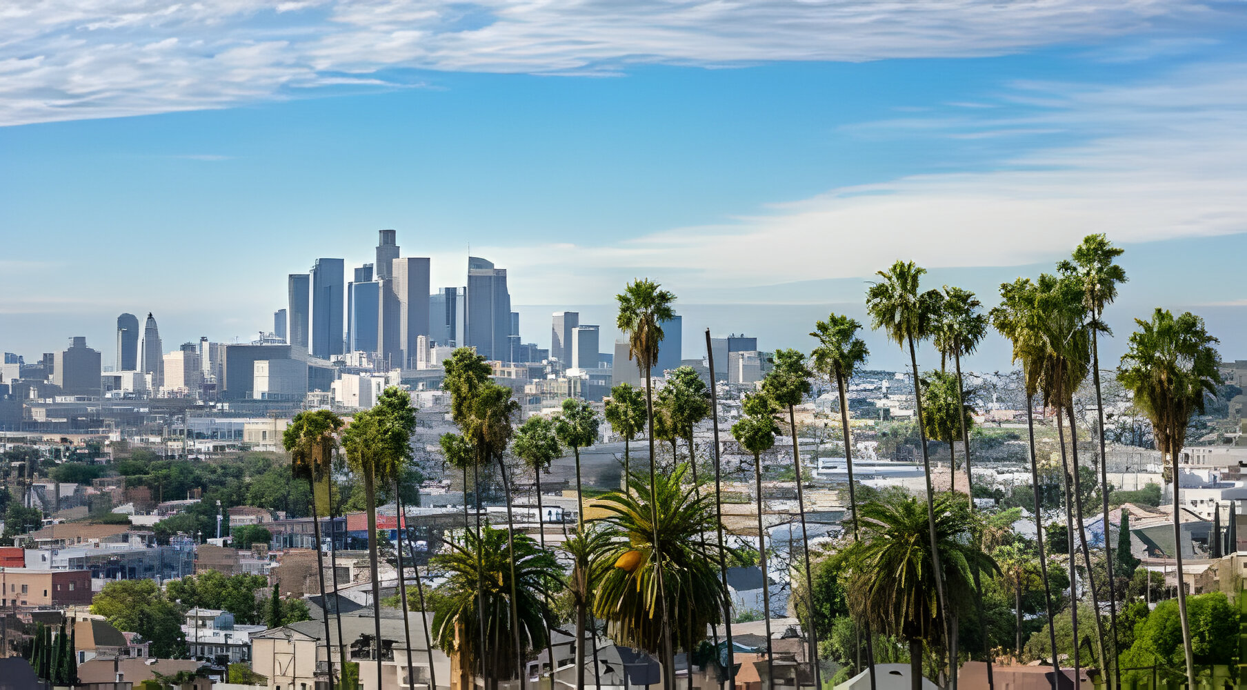 Cloudy day in Los Angeles downtown with palm trees in foreground