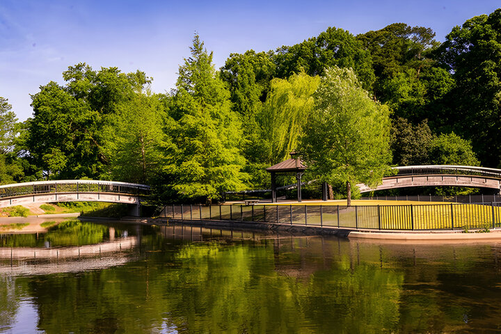 Arched Walking Bridges Over a Reflecting Pond at Pullen Park Raleigh, NC