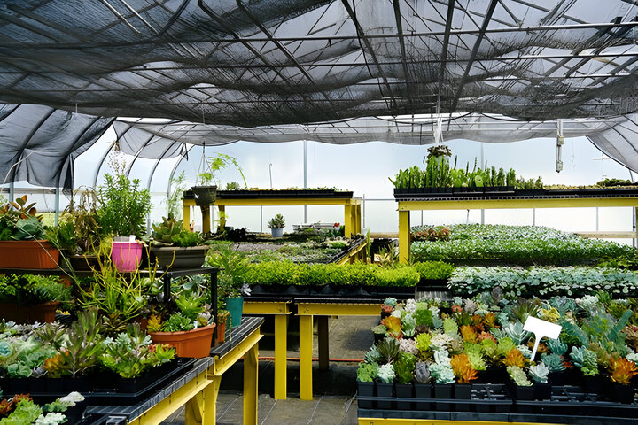 an Amish farm green house in Lancaster Pennsylvania