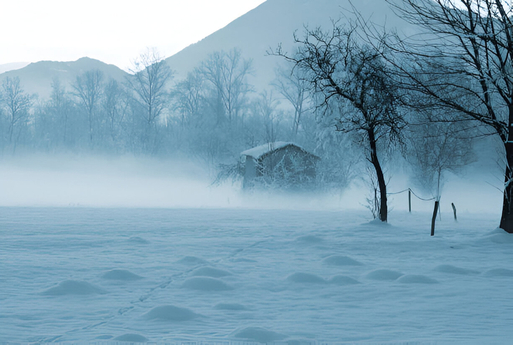 Winter's Fog and Snow on the mountains of Montreal WI