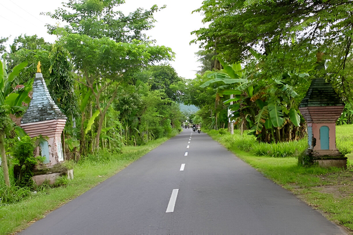 A beautiful road in Greenvile with a little bit traffic