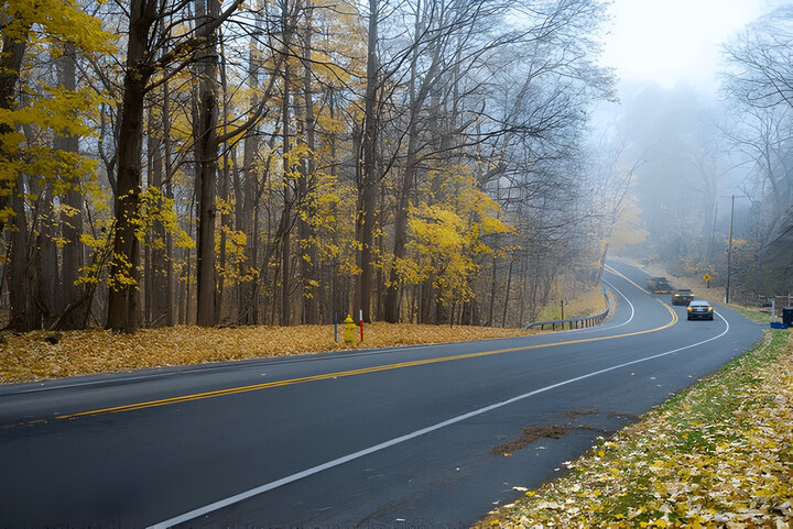 Winding road near forest park with tall mature trees and colorful yellow fall leaves, rear view blurry car motions at early foggy morning in Rochester, New York, USA.