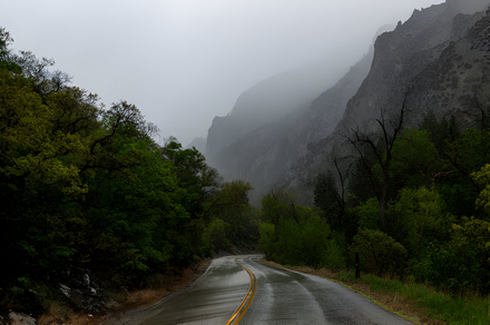 A rain soaked road runs through a lovely green canyon in Alpine Utah